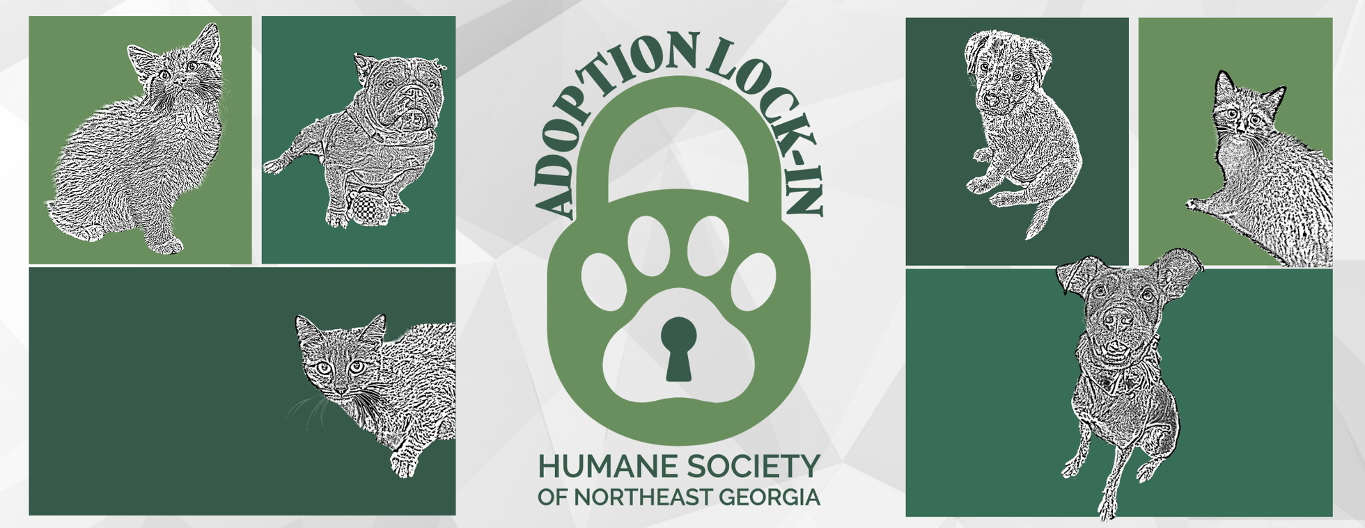 Adoption Lock-in 2025